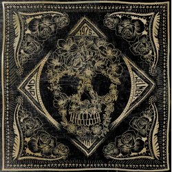 DMD T�RKL�DE FLOWER