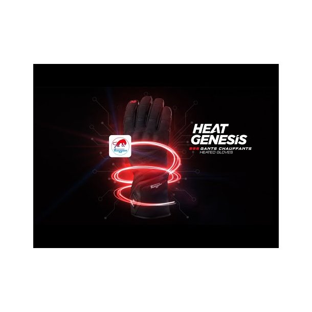 HEAT GENESIS