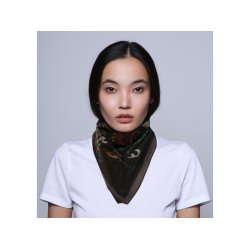 DMD T�RKL�DE TIGRE